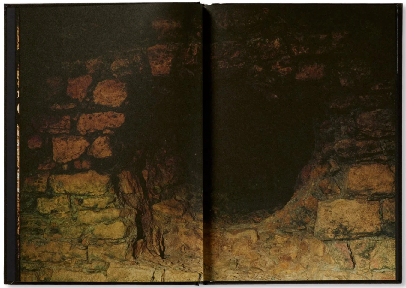 Família Aeminium image 3