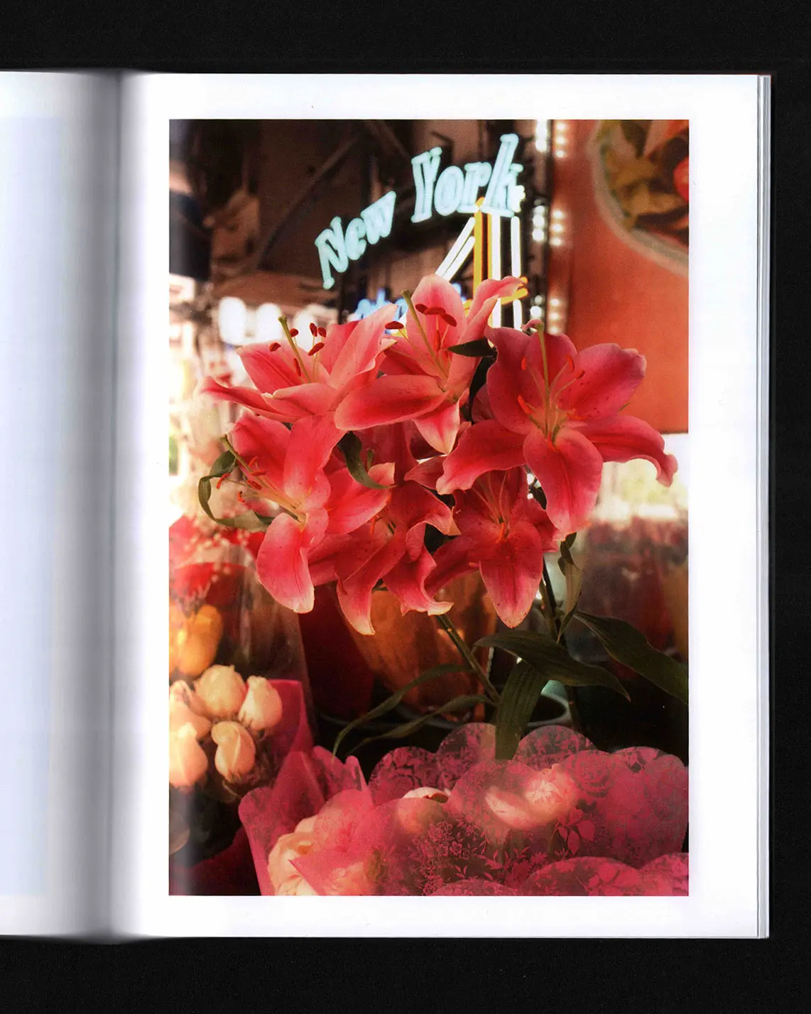 Strangers Angels image 3