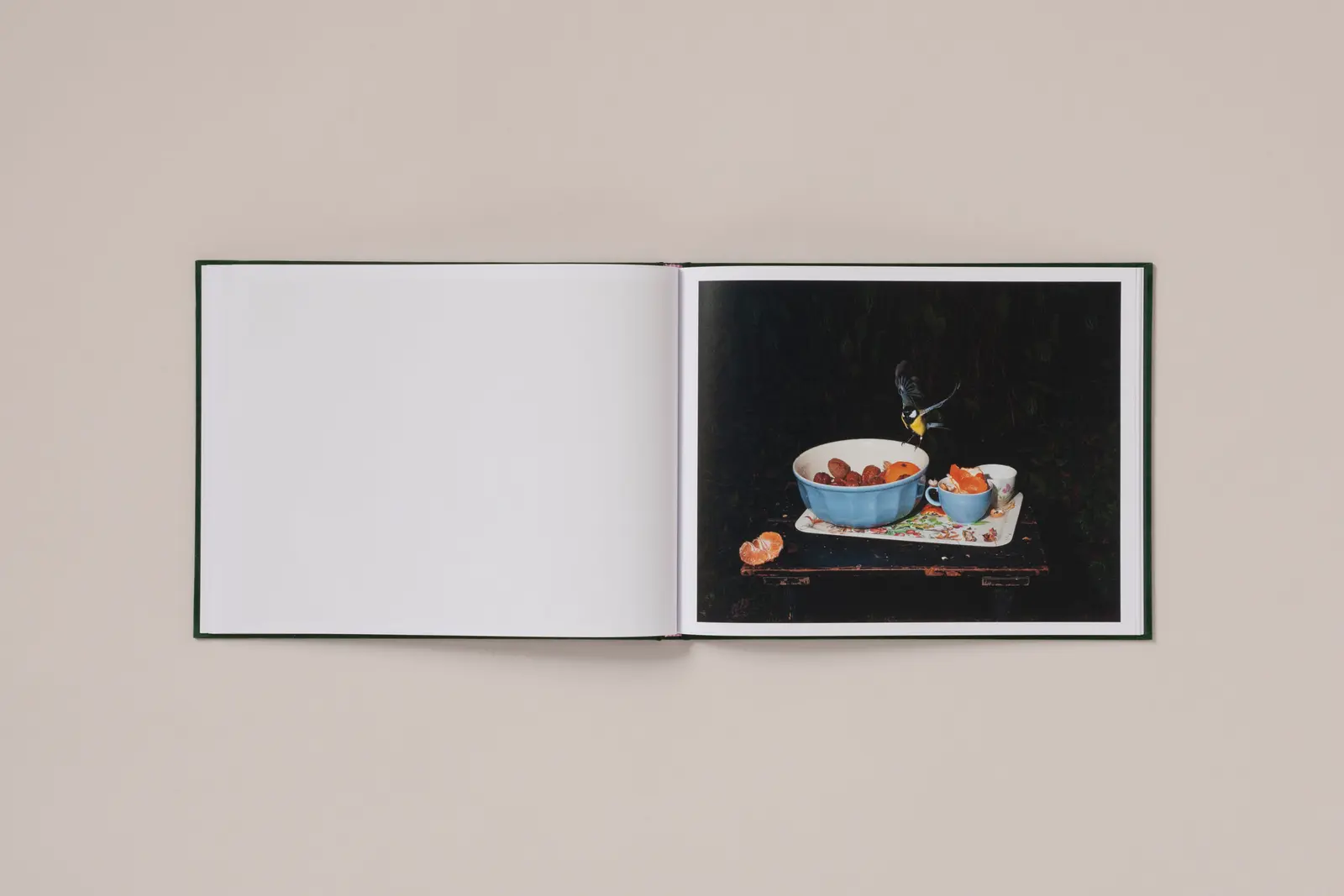 Plates I-XXXI image 2