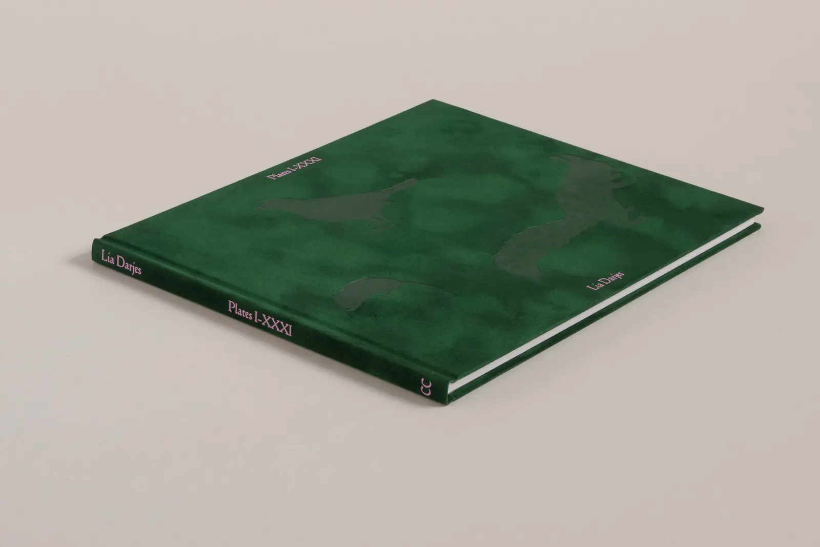 Plates I-XXXI image 4