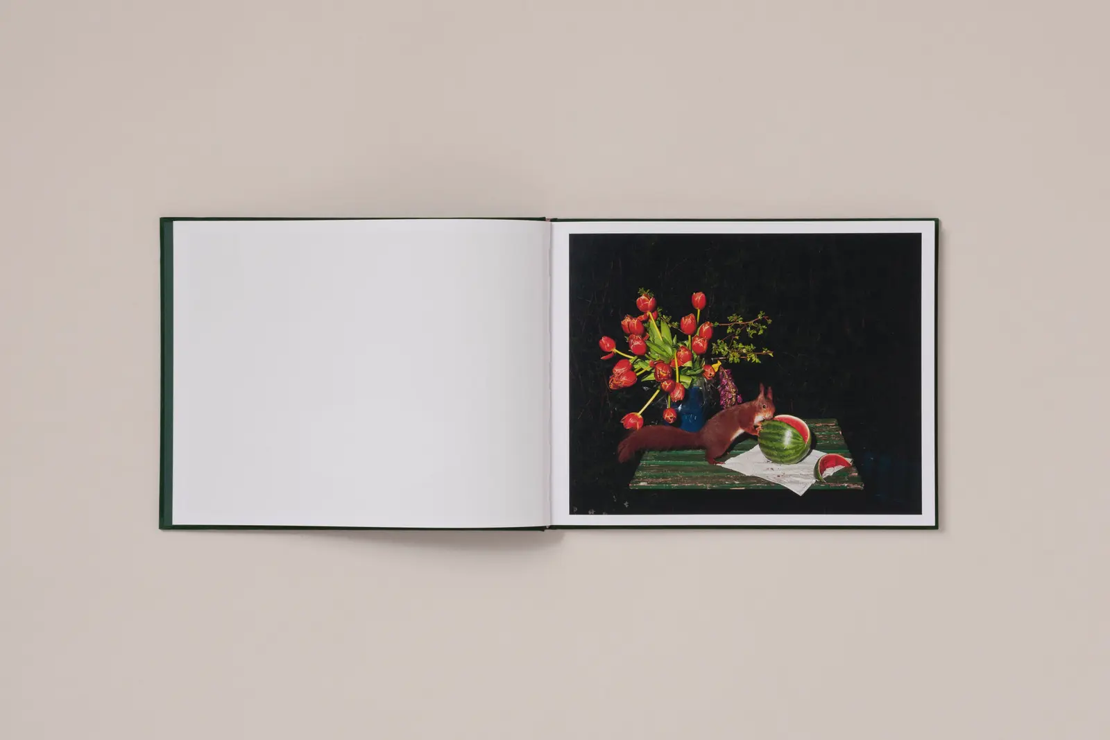 Plates I-XXXI image 5