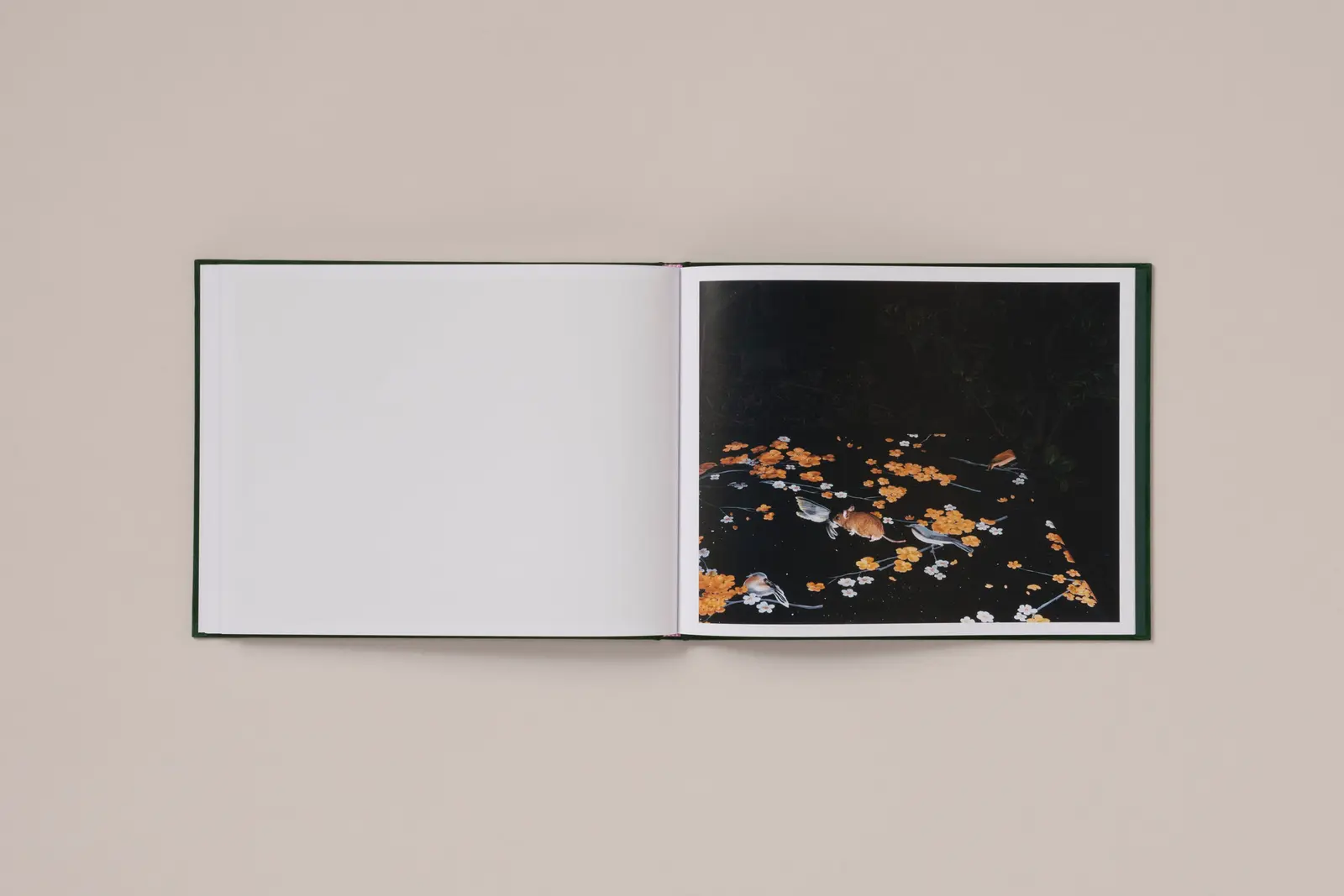 Plates I-XXXI image 6