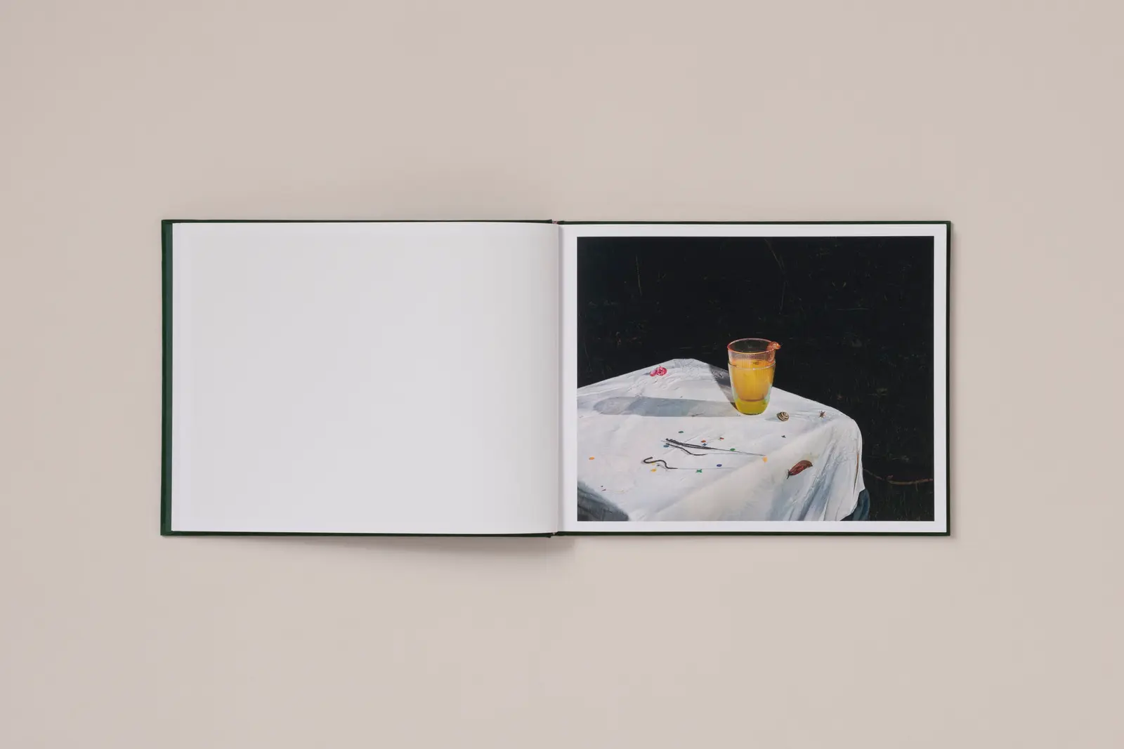 Plates I-XXXI image 9