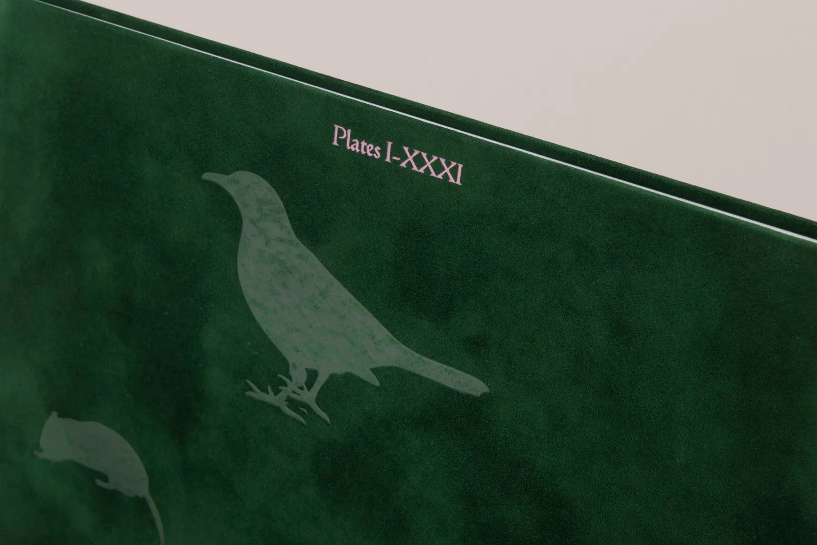 Plates I-XXXI image 10