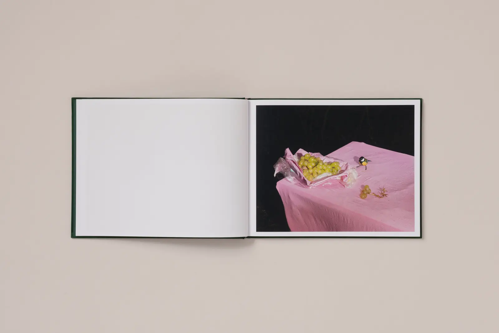 Plates I-XXXI image 11