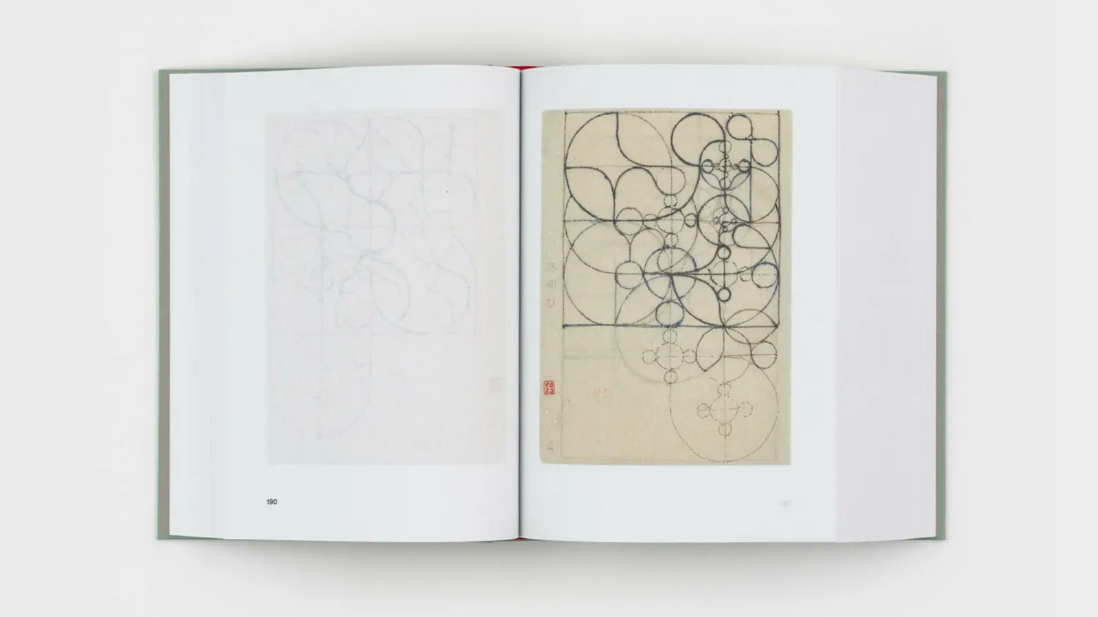 Diario De Plantas image 4