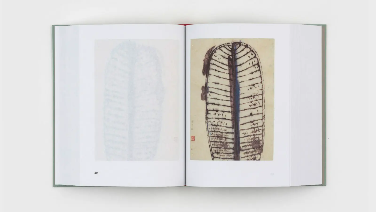 Diario De Plantas image 5