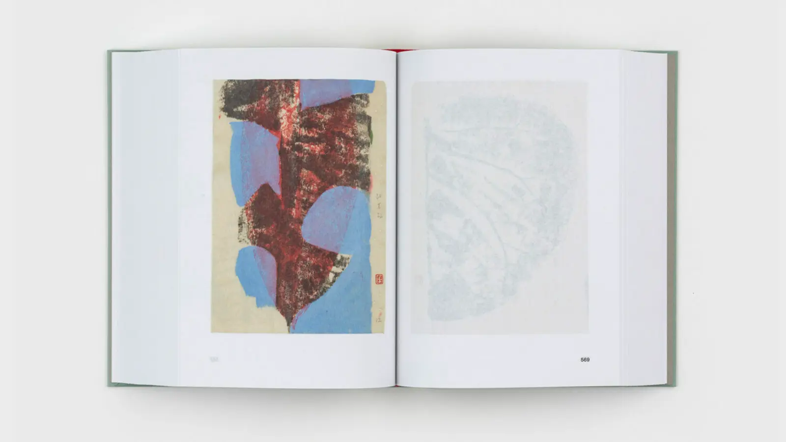 Diario De Plantas image 6