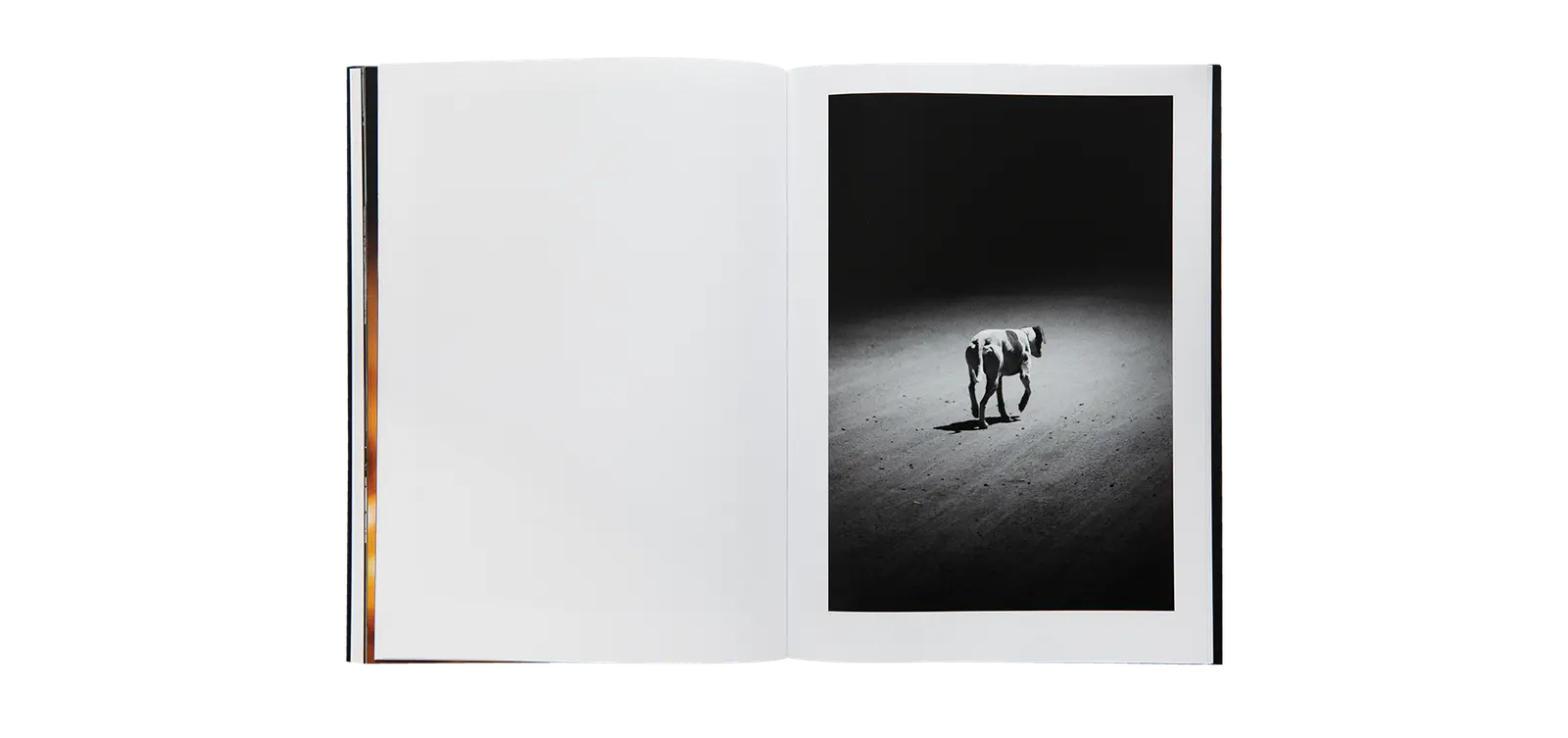 Tres Viajes image 10