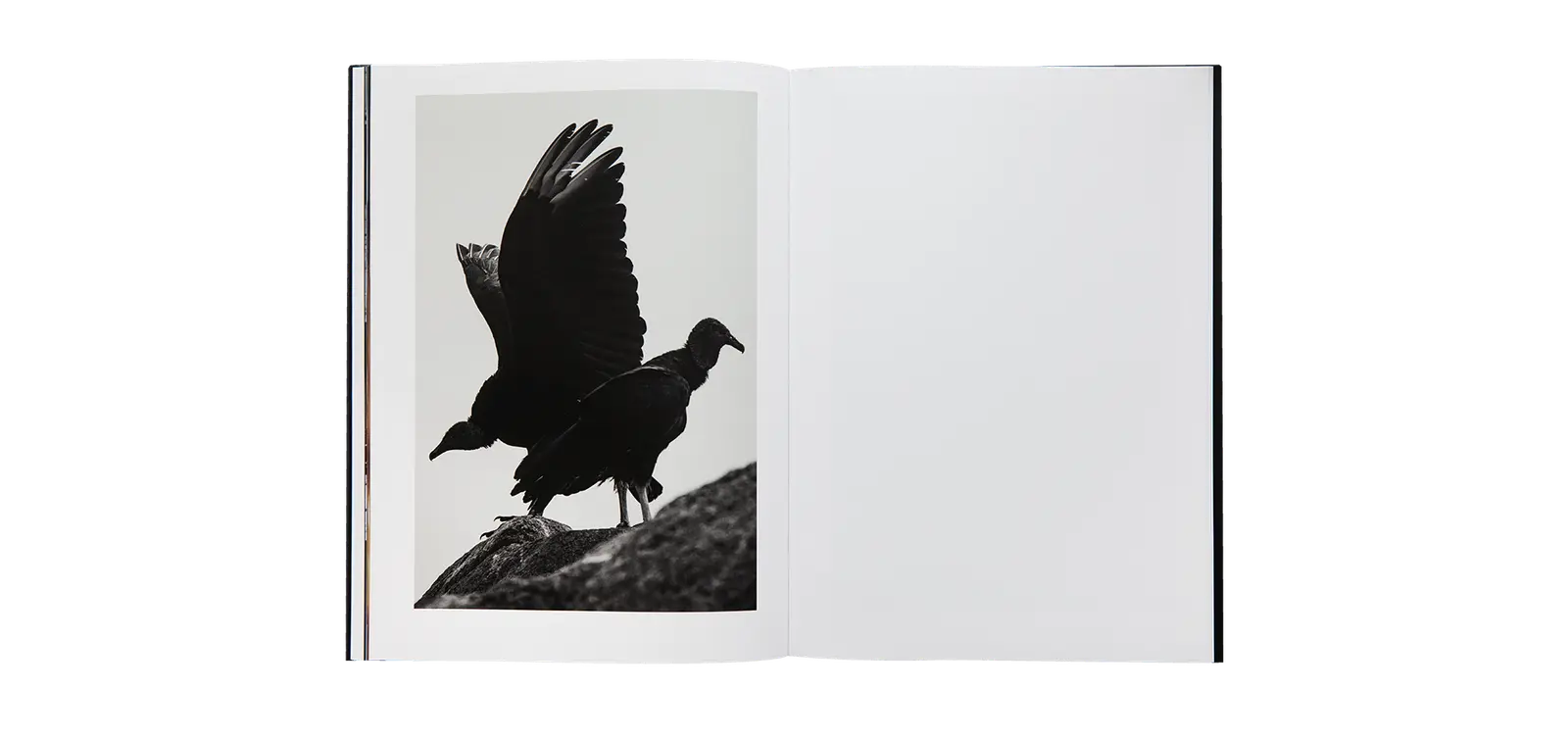 Tres Viajes image 11