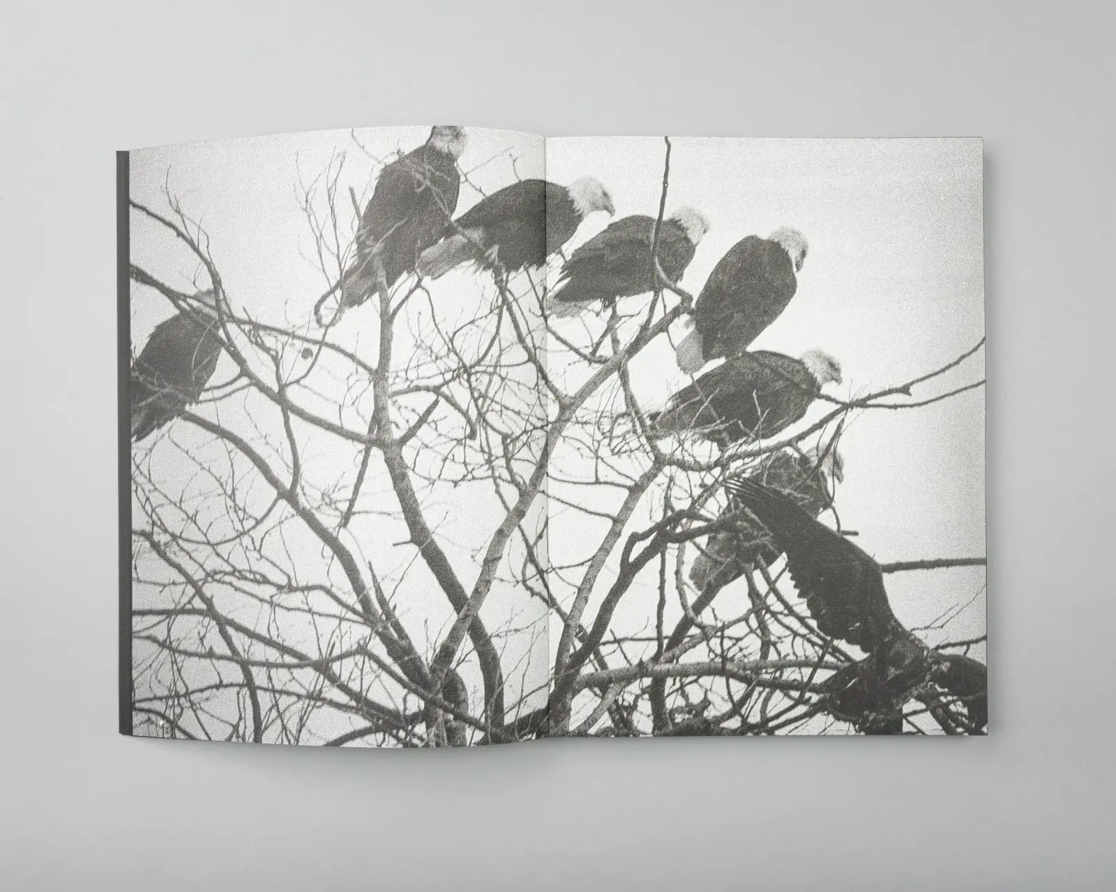 Blank Notes image 10