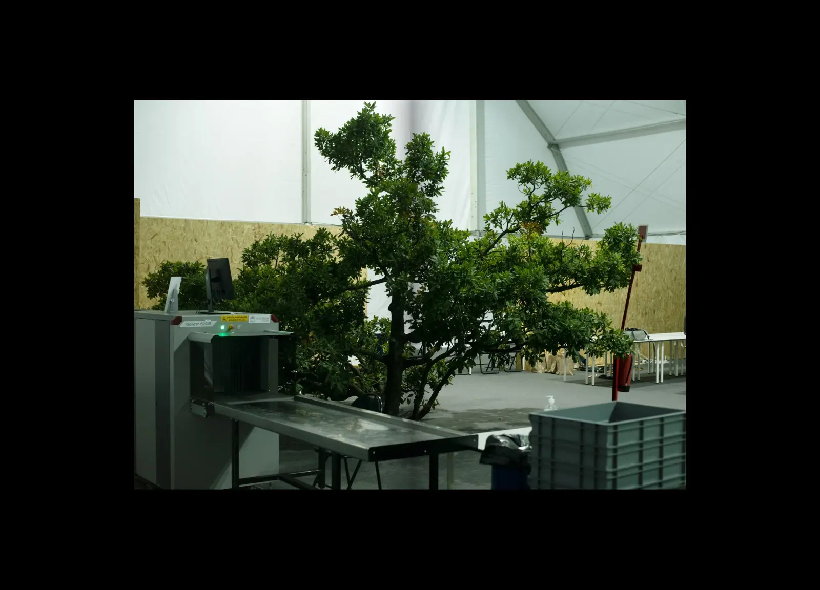 When You Invent the Ship, You Also Invent the Shipwreck image 4