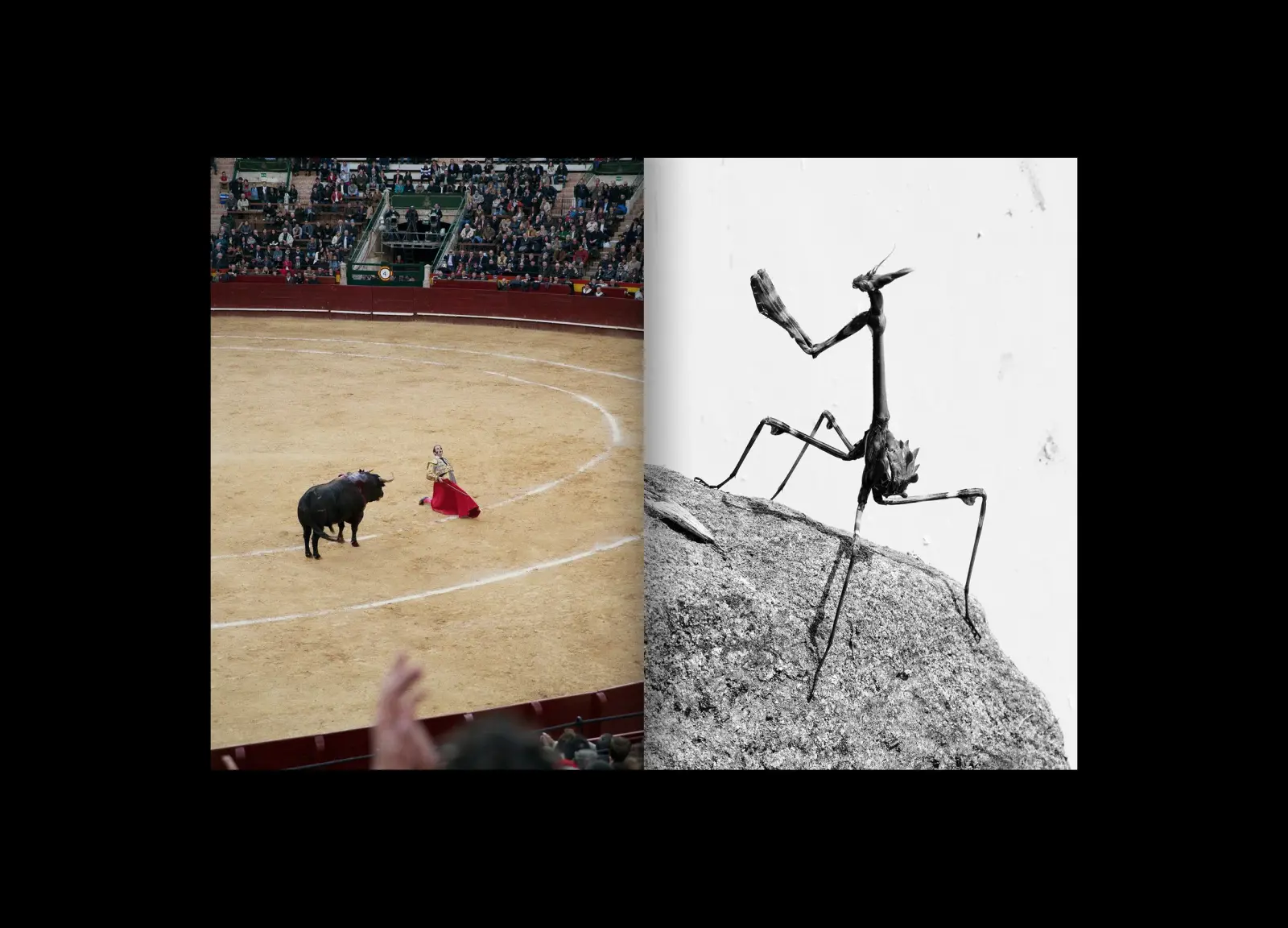 When You Invent the Ship, You Also Invent the Shipwreck image 6