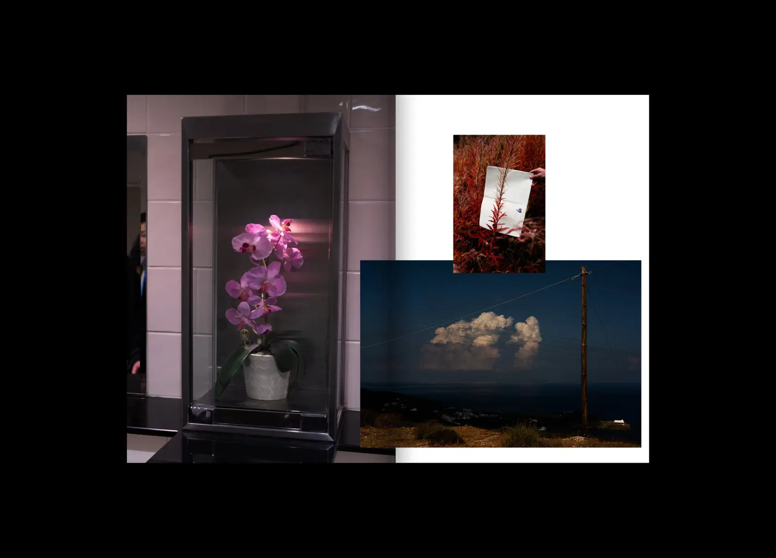 When You Invent the Ship, You Also Invent the Shipwreck image 10