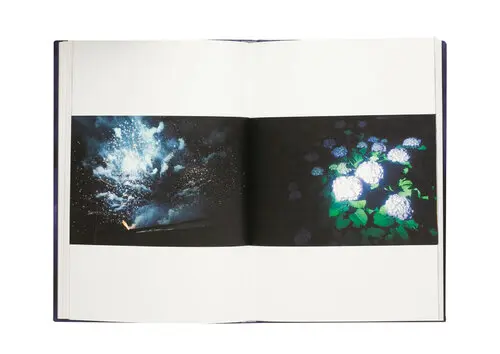 Les Deux Crépuscules image 5