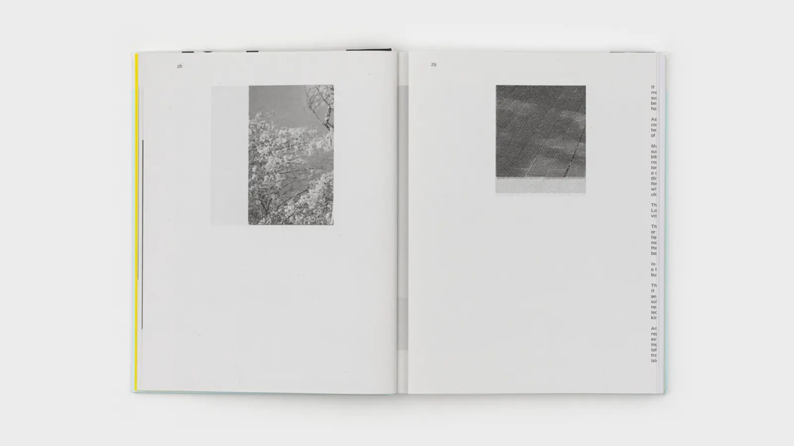 Fergus Feehily image 8