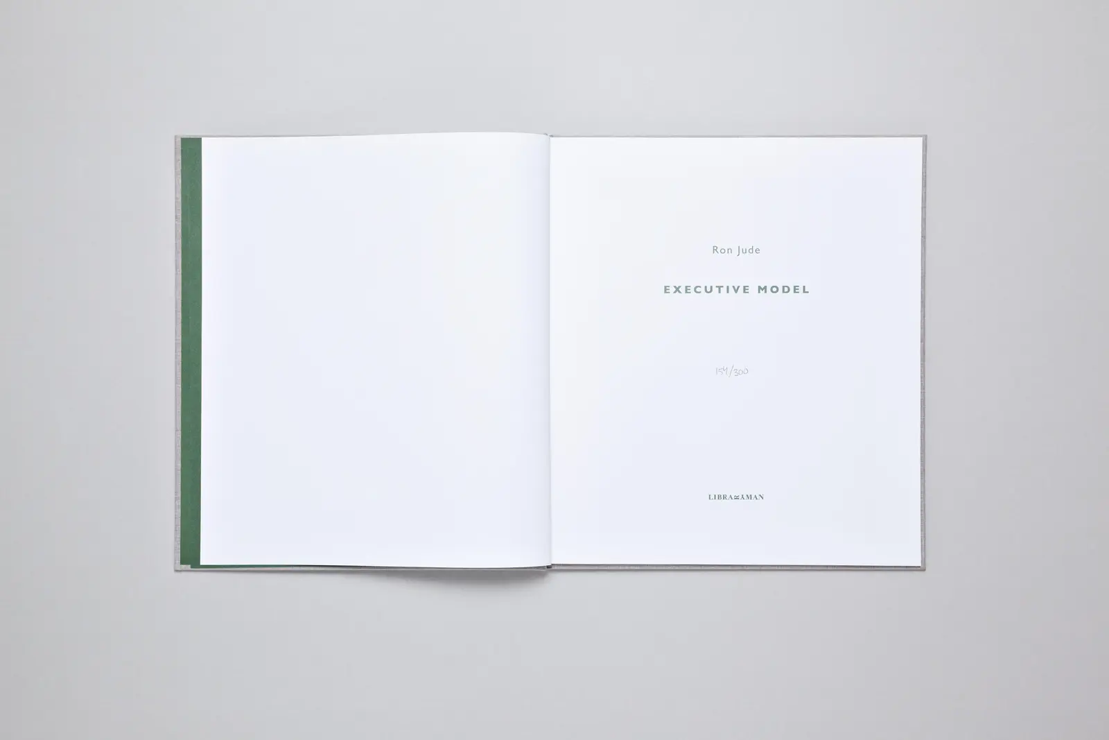 Executive Model image 4