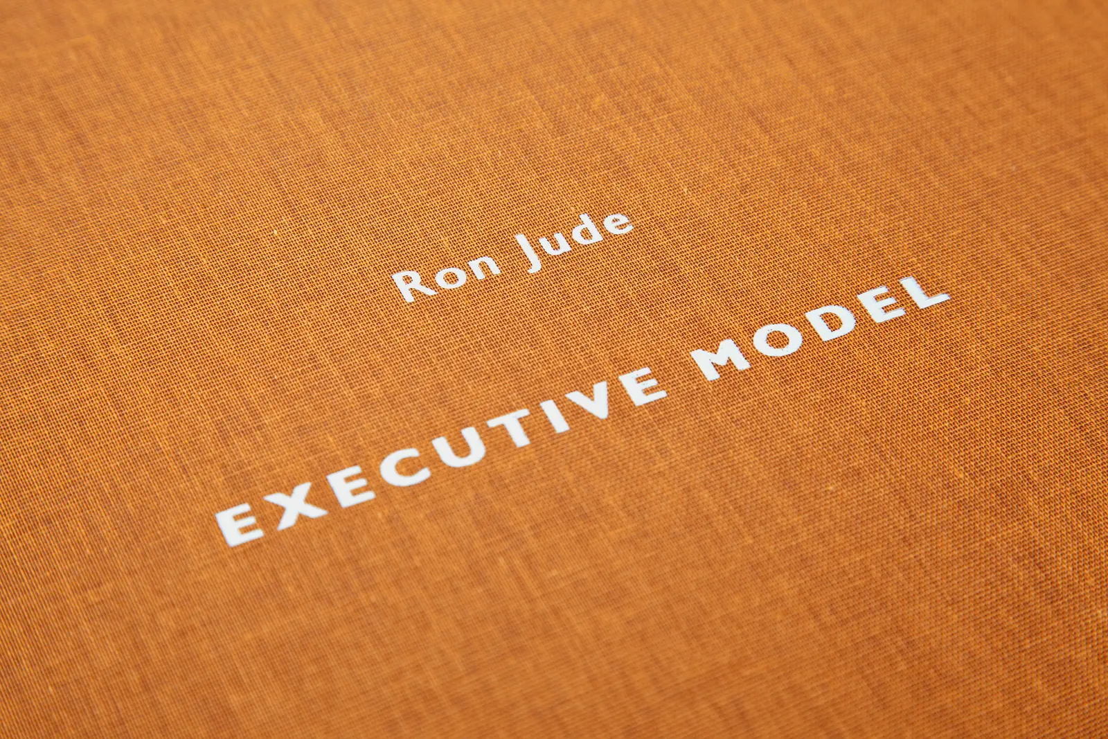 Executive Model image 7