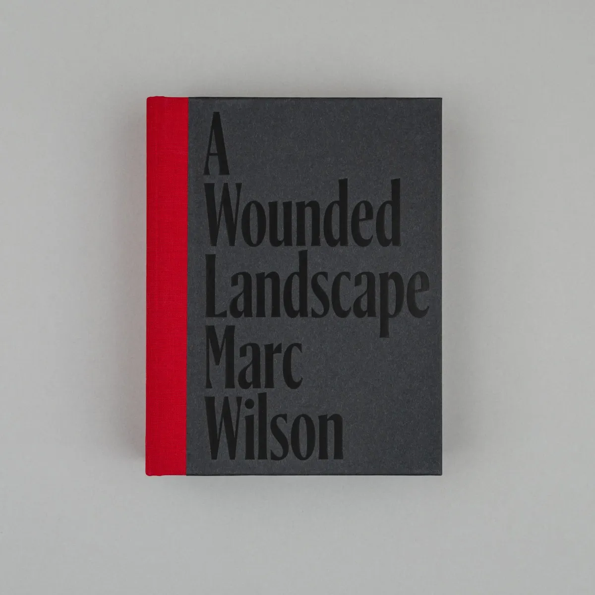 A Wounded Landscape - bearing witness to the Holocaust