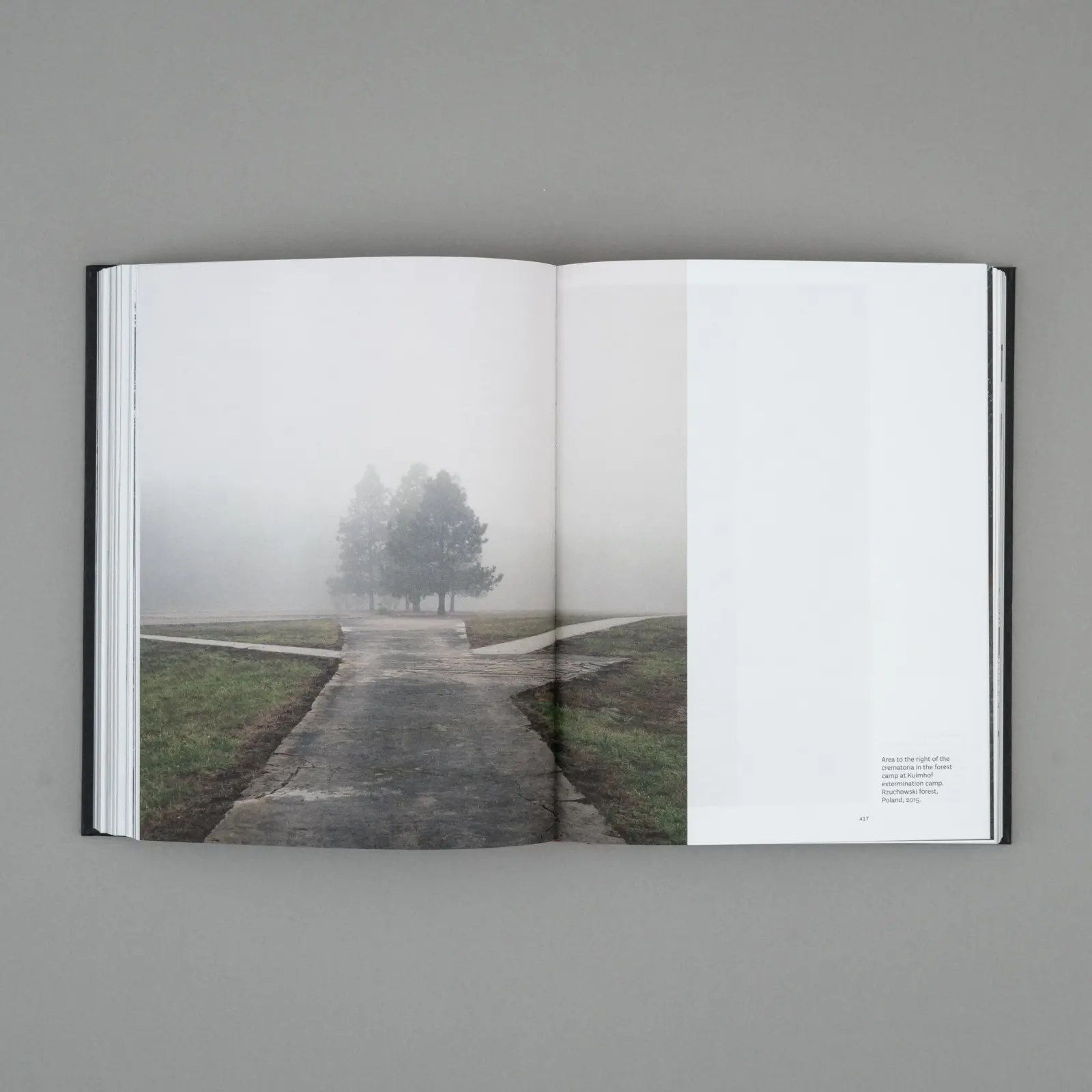 A Wounded Landscape - bearing witness to the Holocaust image 2