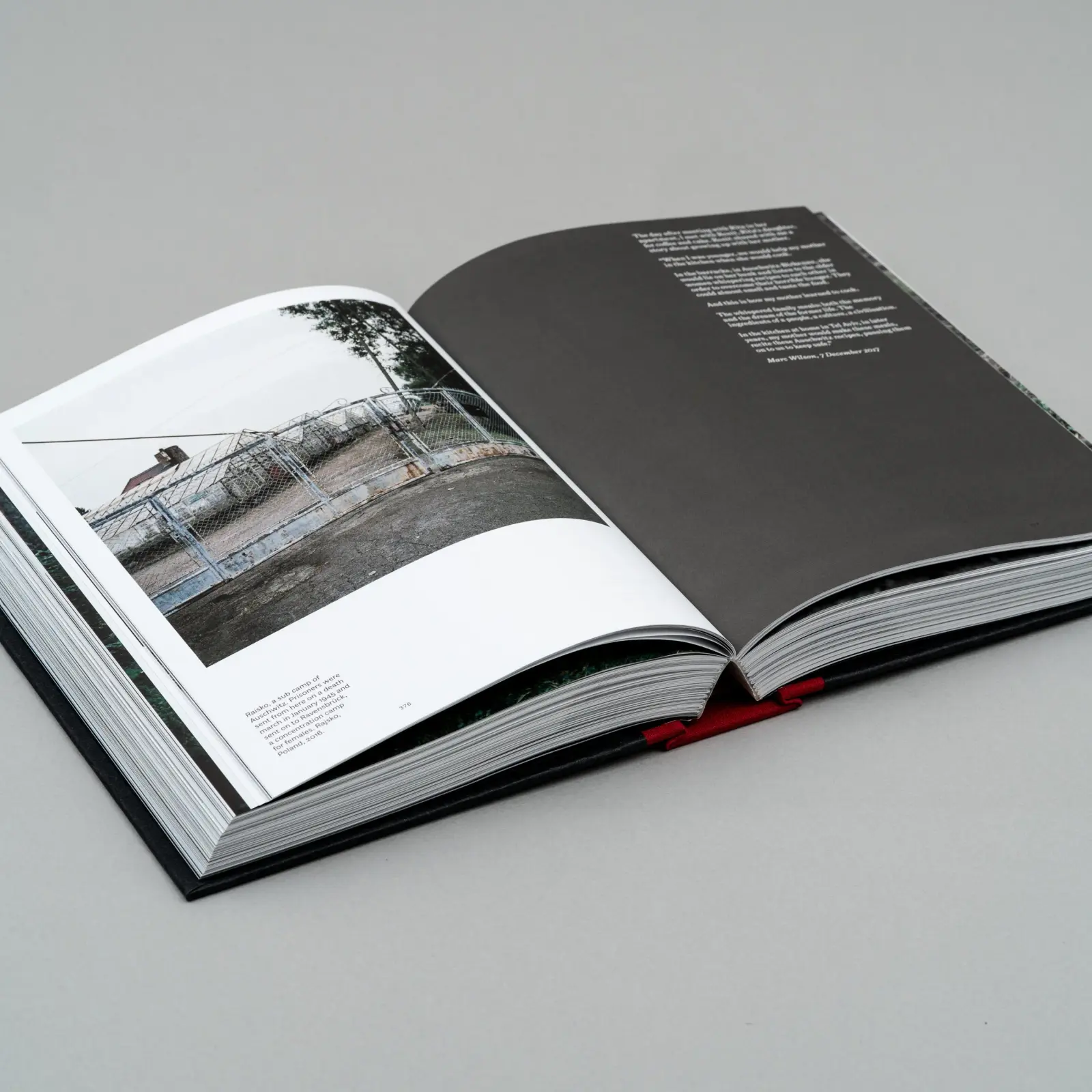 A Wounded Landscape - bearing witness to the Holocaust image 4