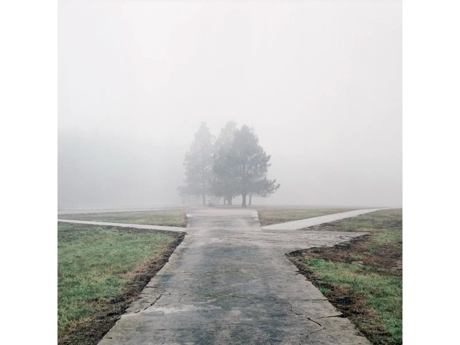 A Wounded Landscape - bearing witness to the Holocaust image 5