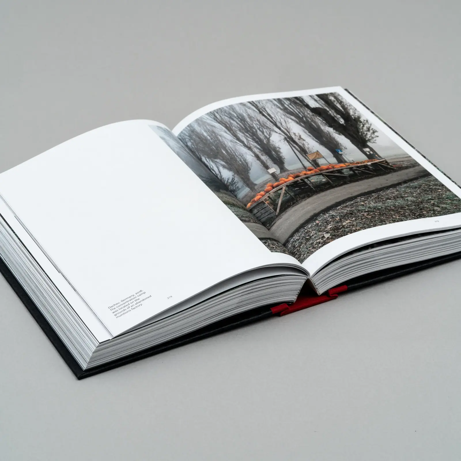 A Wounded Landscape - bearing witness to the Holocaust image 7