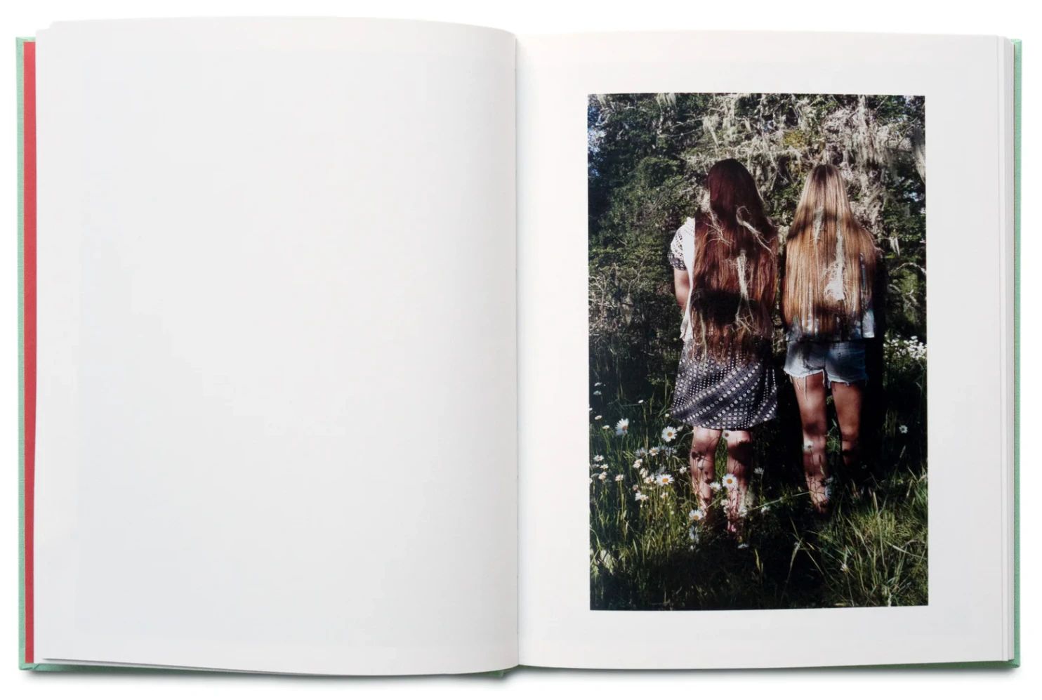 Las Pelilargas image 4