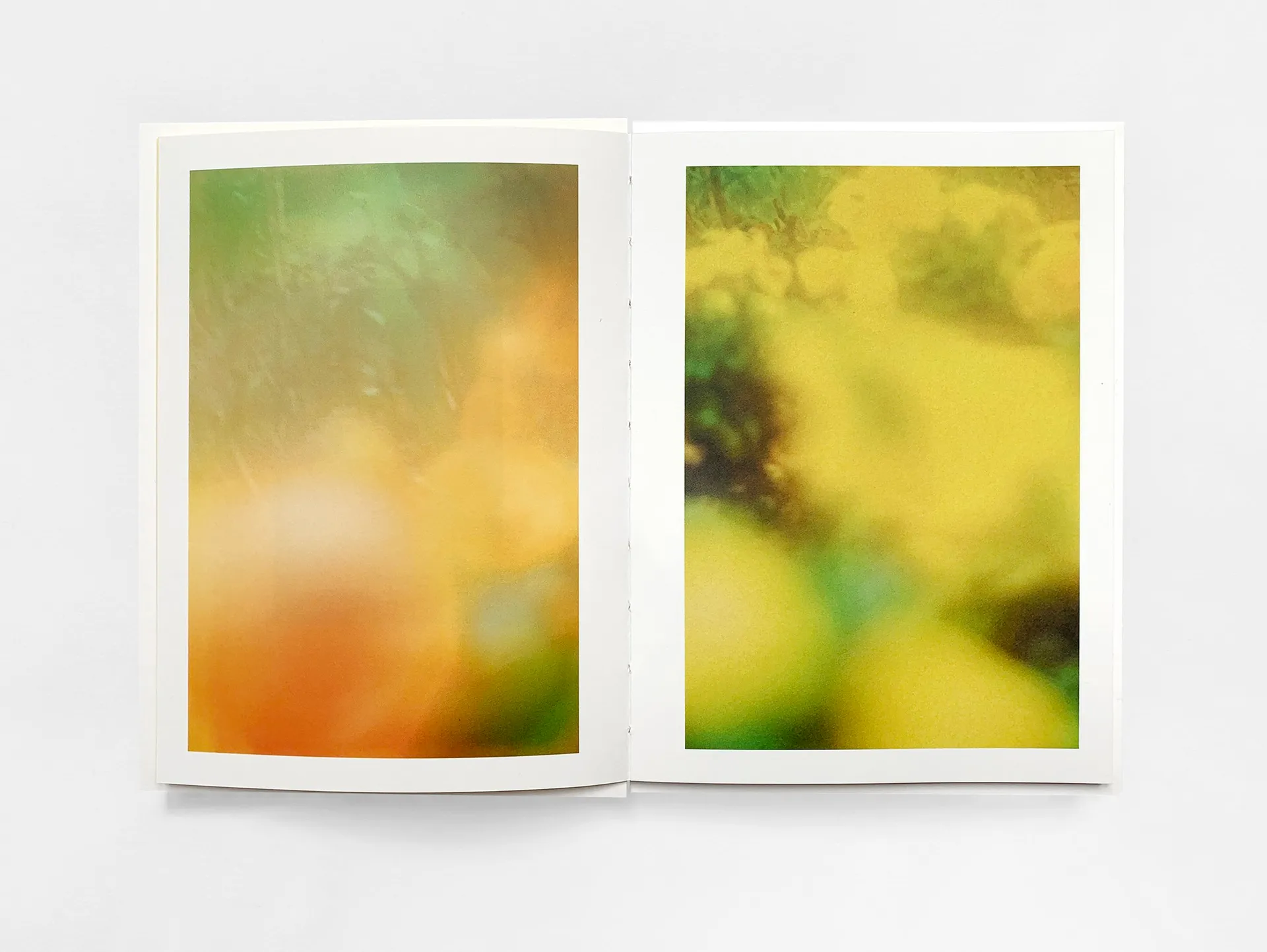 The Autumns of Spring image 2