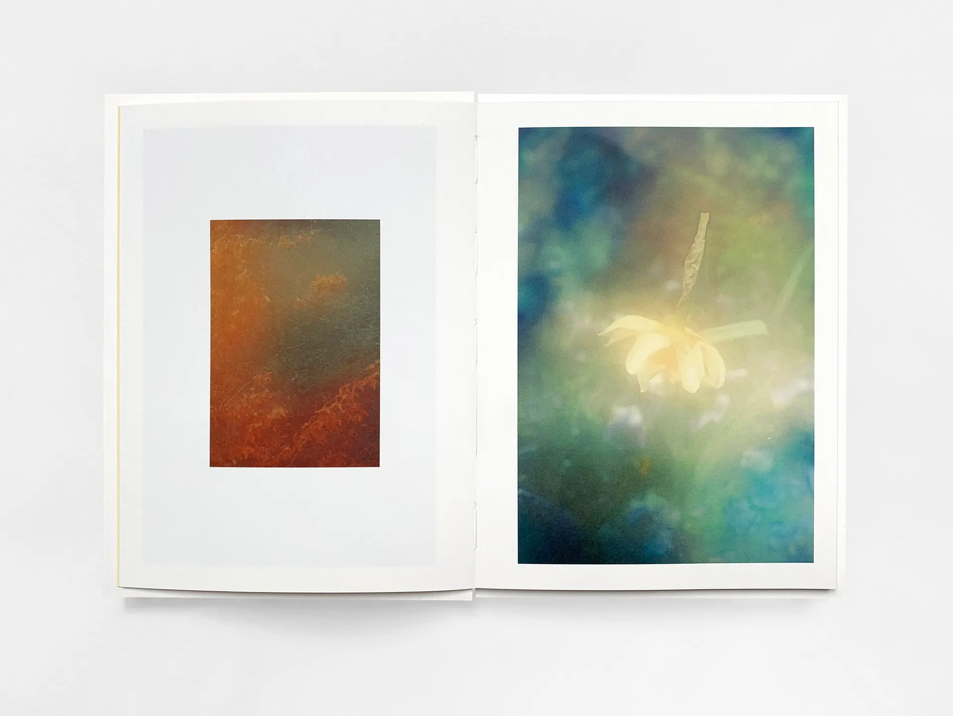 The Autumns of Spring image 4