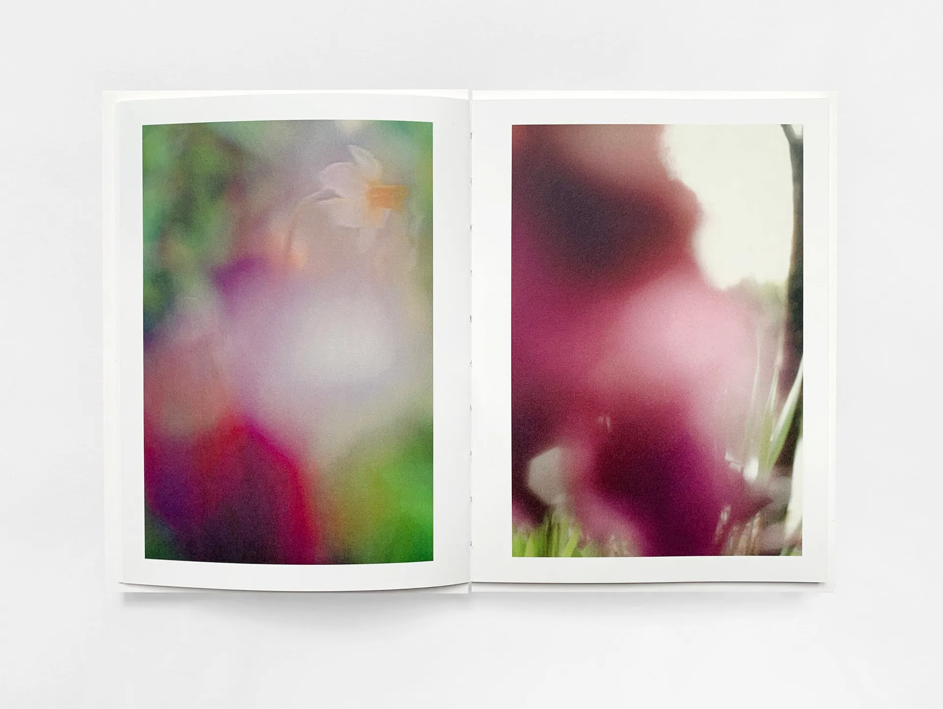 The Autumns of Spring image 5