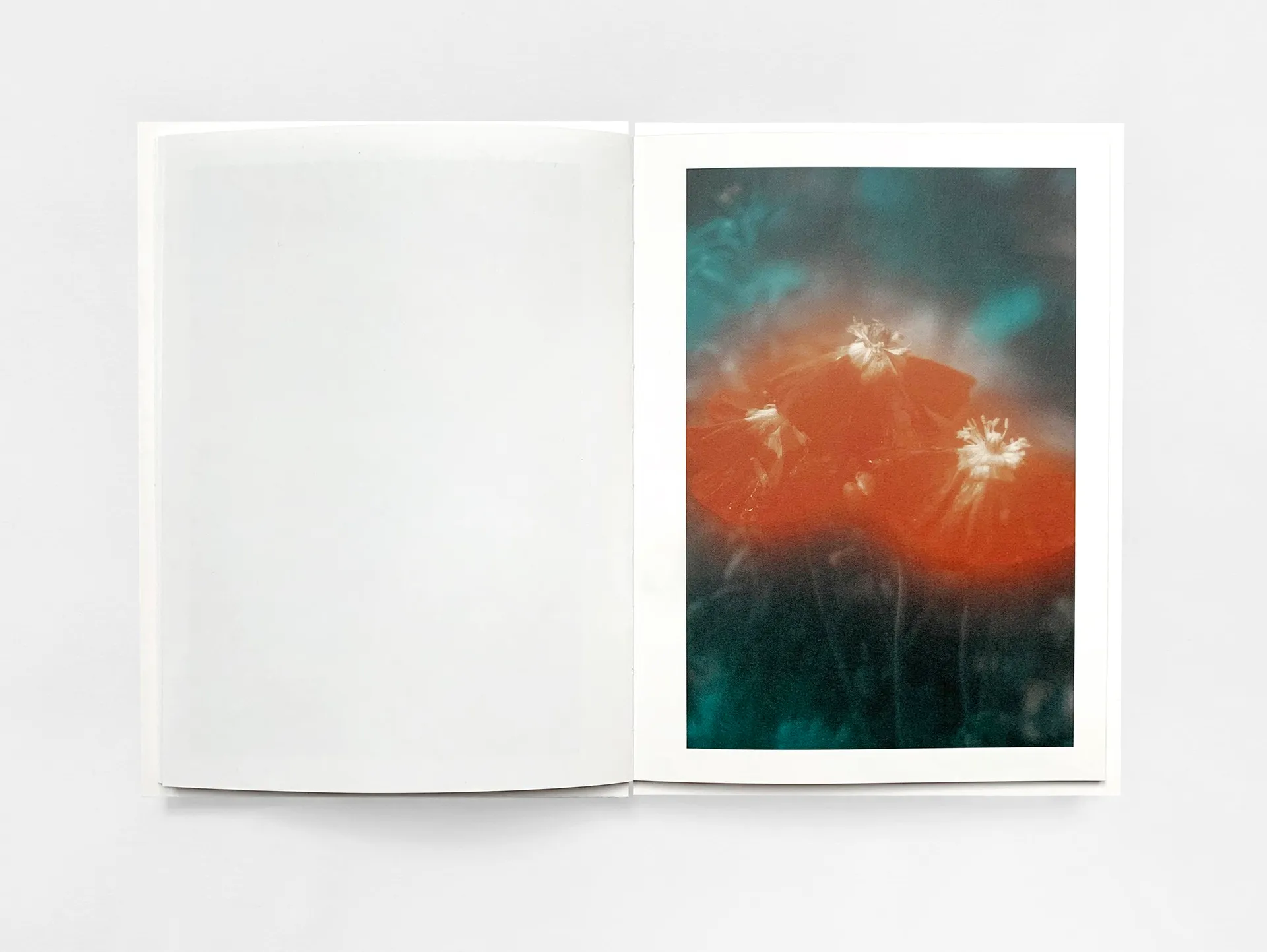 The Autumns of Spring image 6