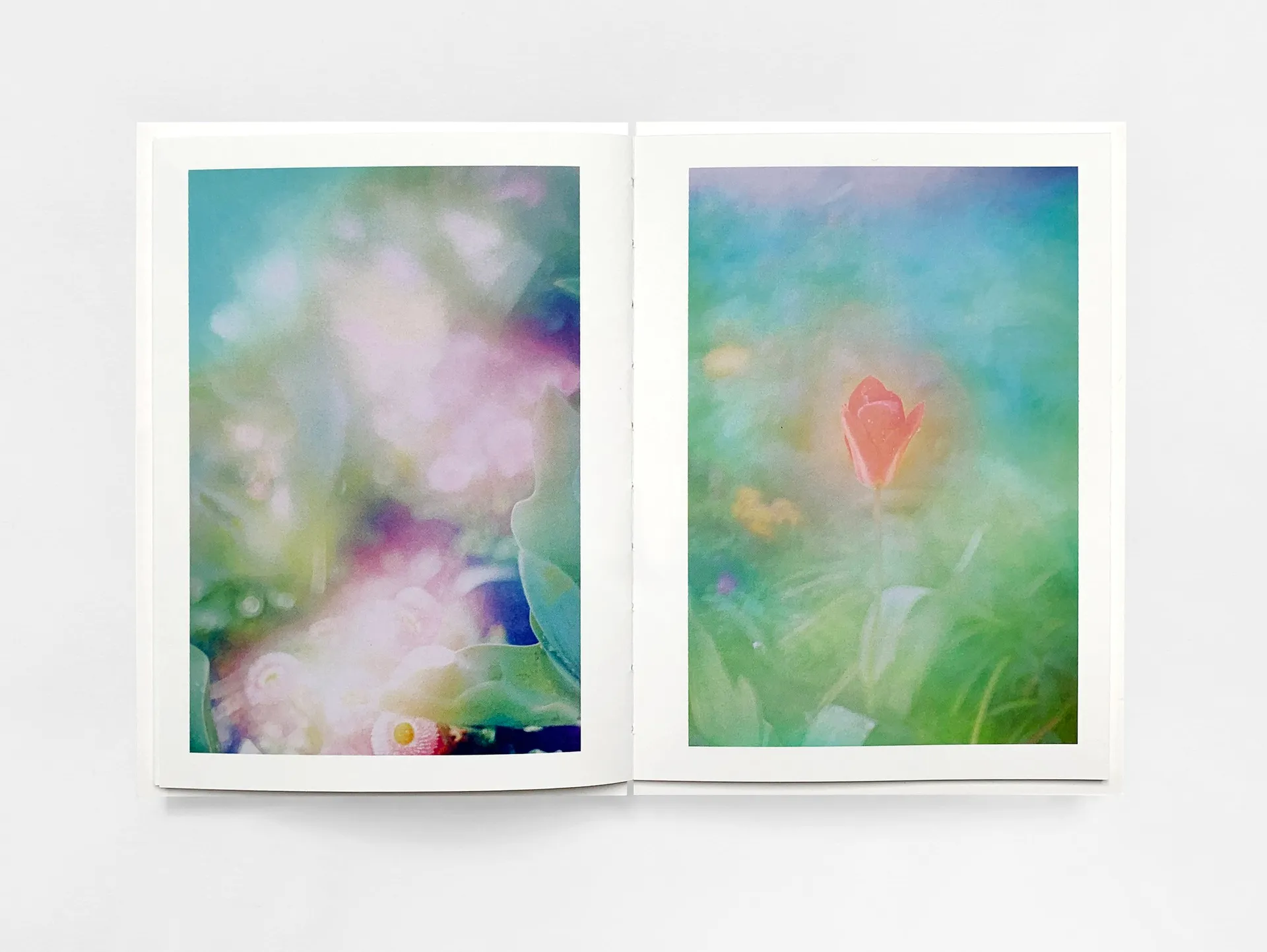 The Autumns of Spring image 7