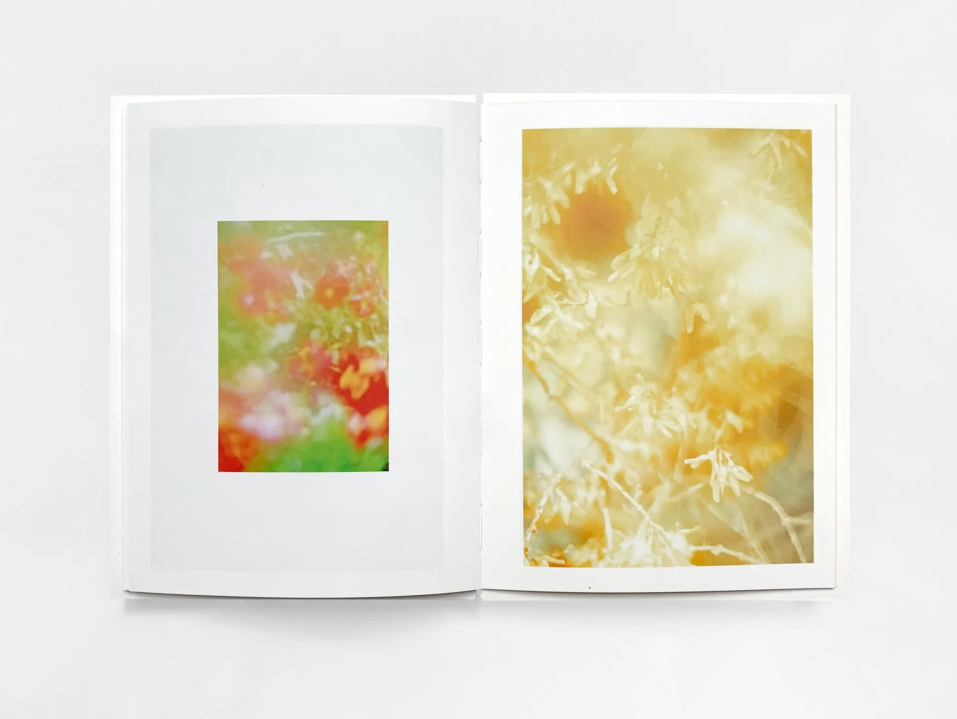 The Autumns of Spring image 9