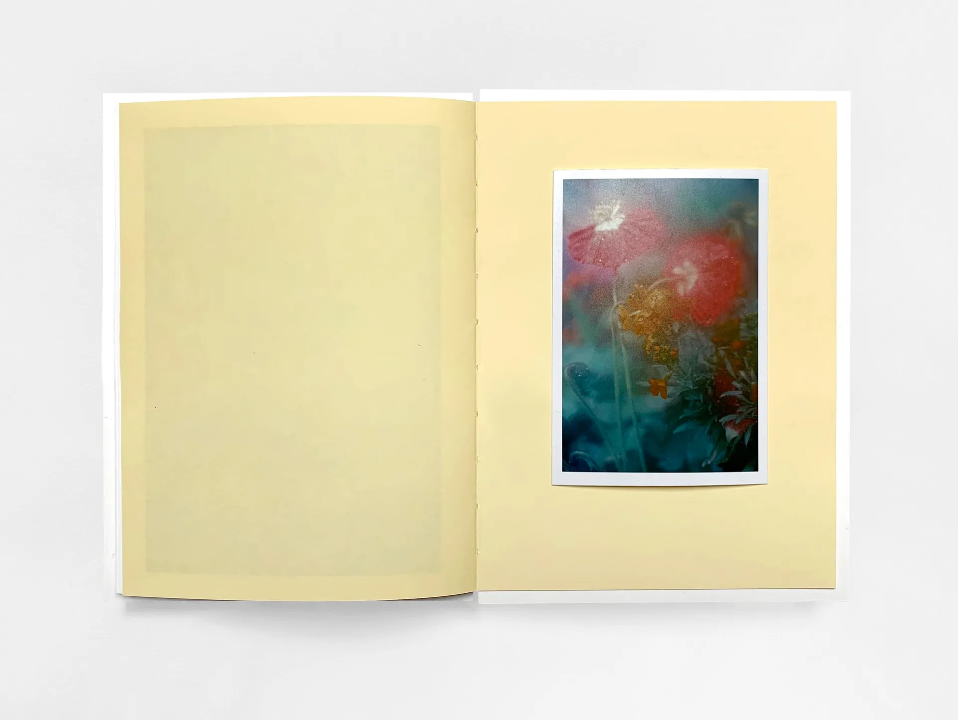 The Autumns of Spring image 10