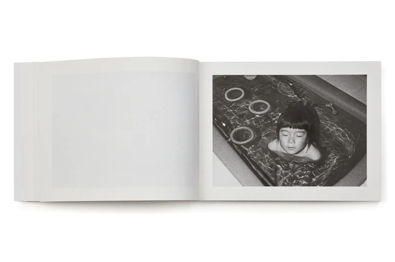 Family Diary image 6