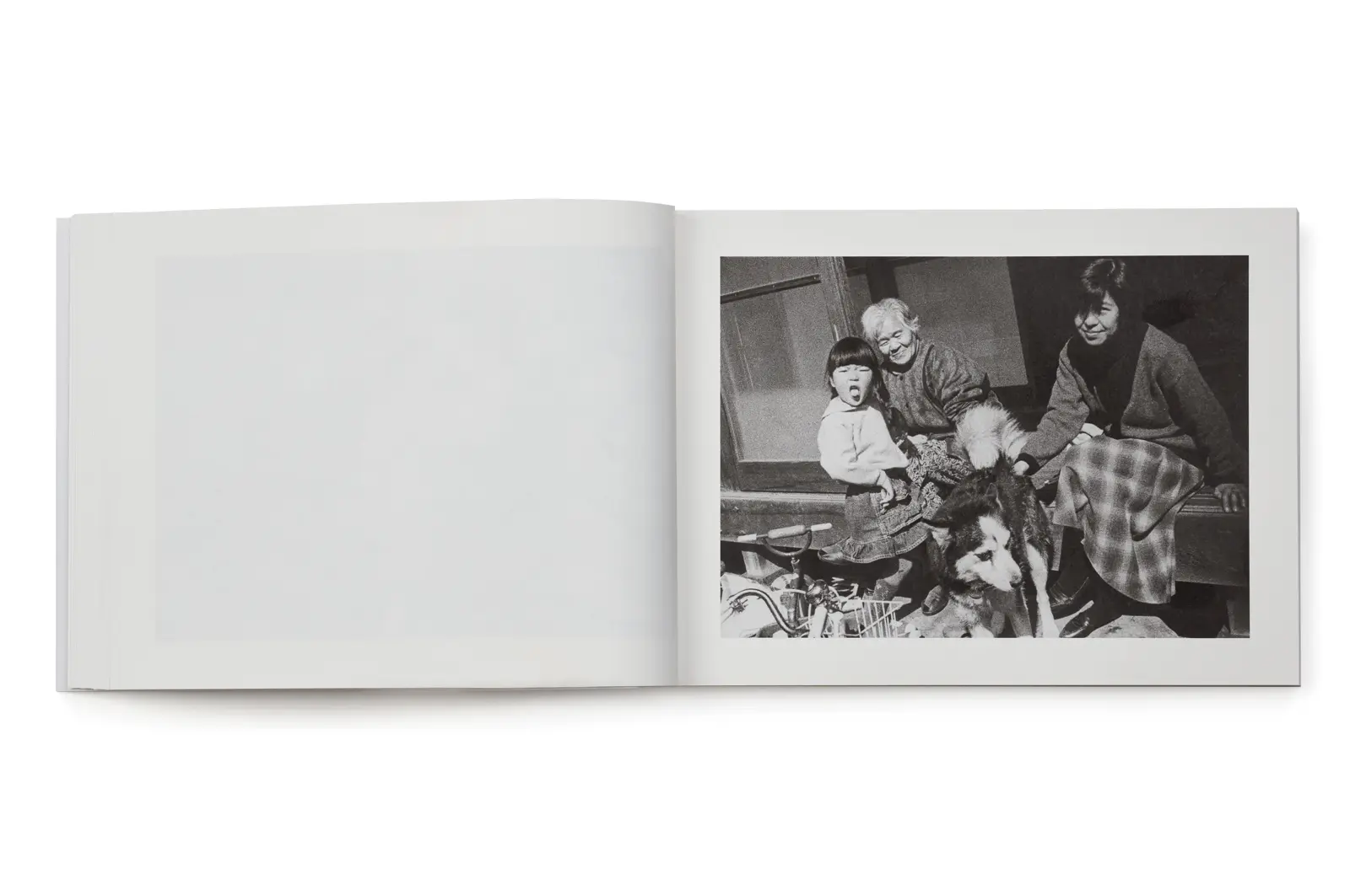 Family Diary image 7