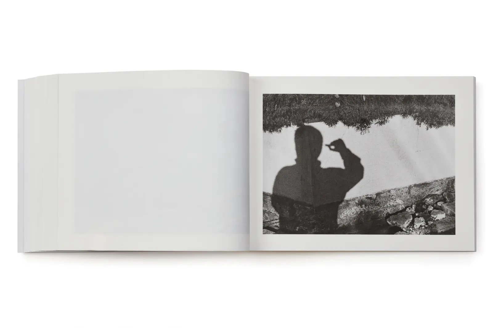 Family Diary image 8