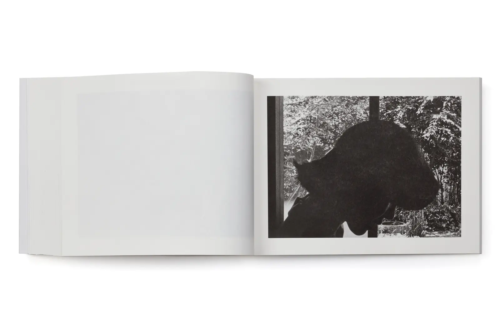 Family Diary image 10