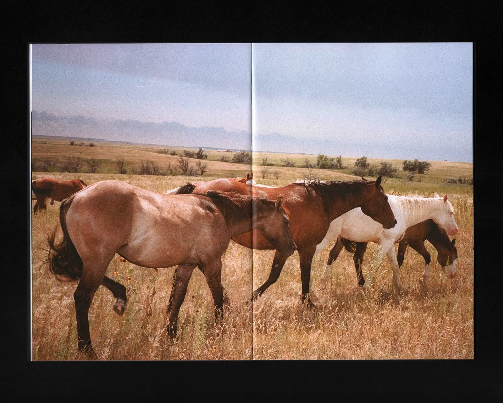 Road Pictures 2017–2024 image 3