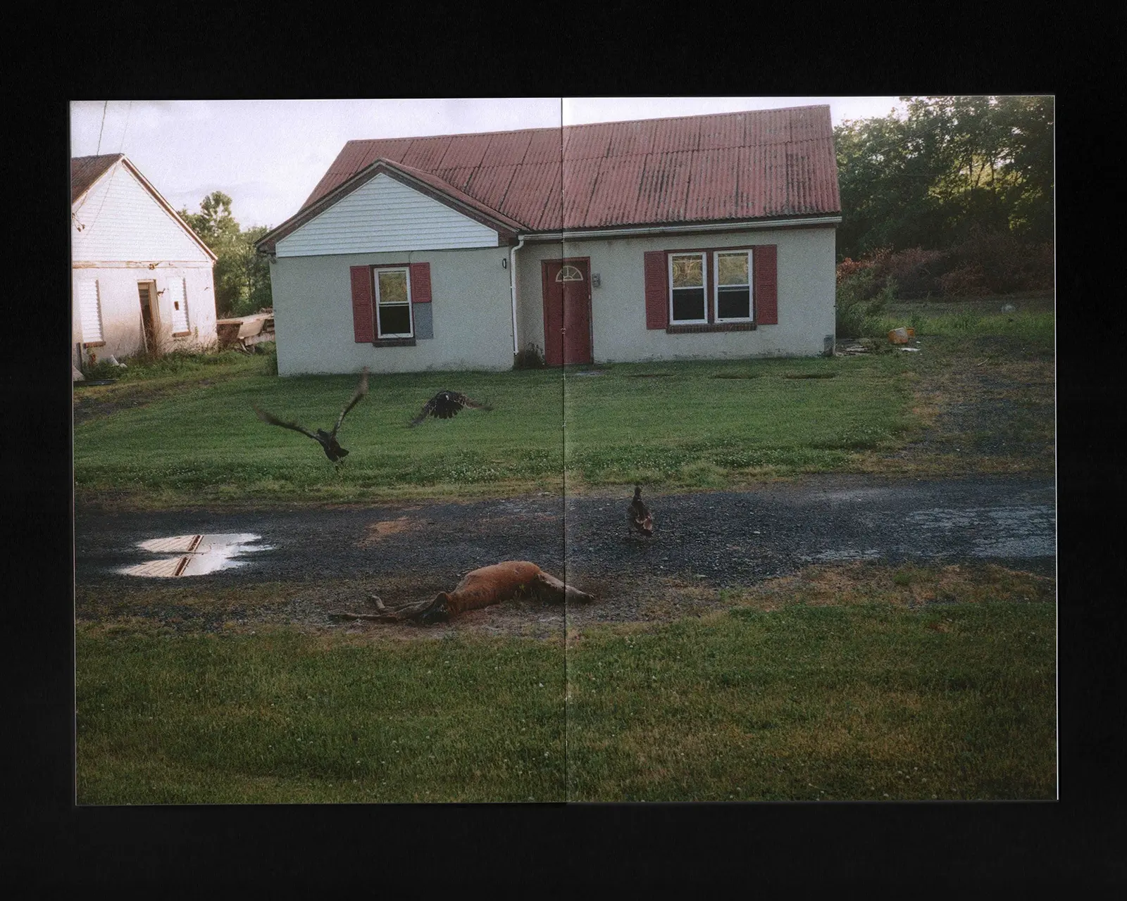 Road Pictures 2017–2024 image 9