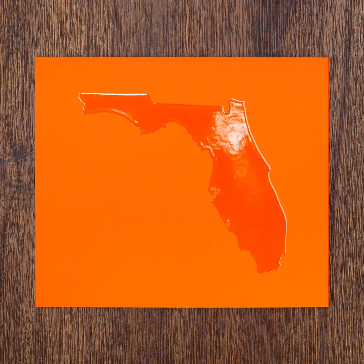 Instant Winter Florida image 2