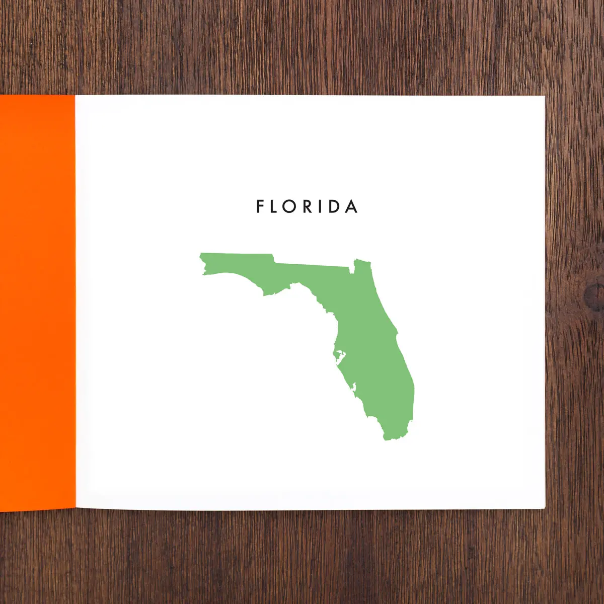 Instant Winter Florida image 3