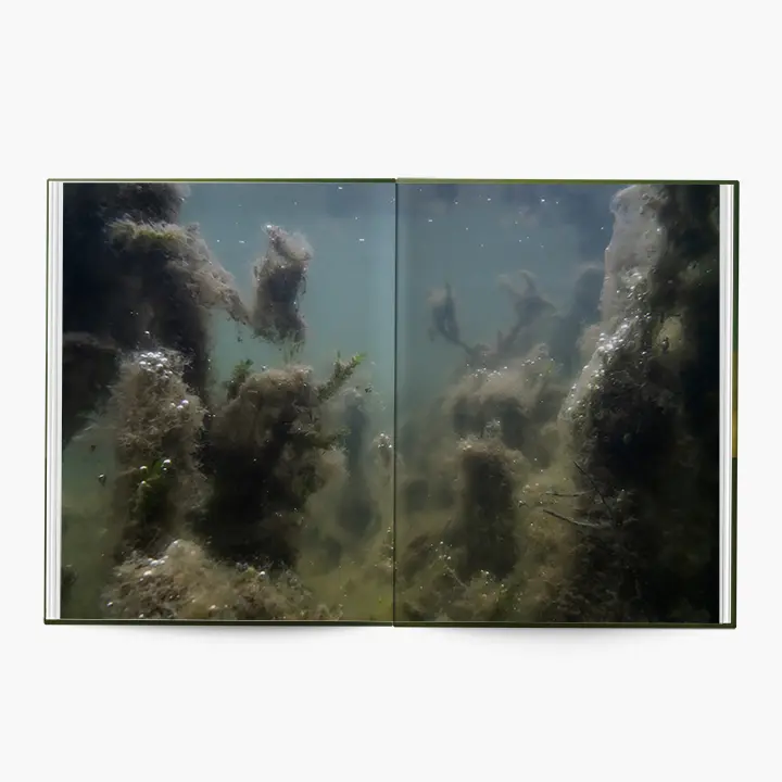 Under Water image 9