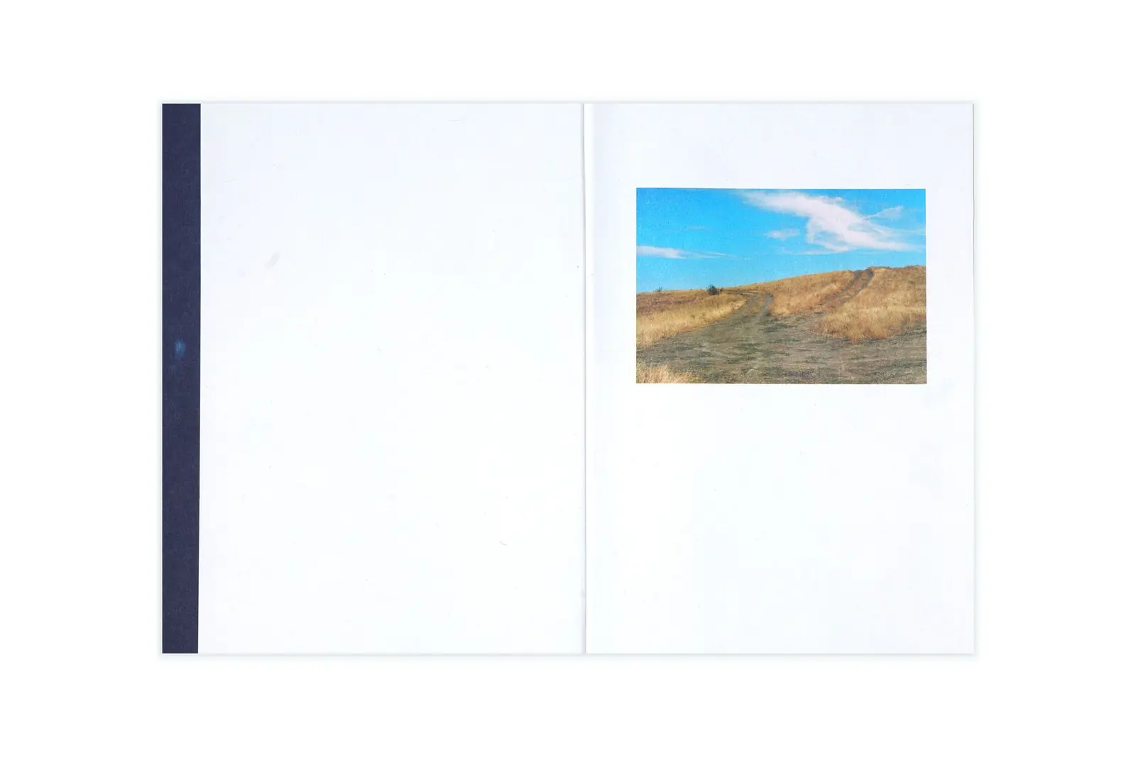 three circles around the sea image 2