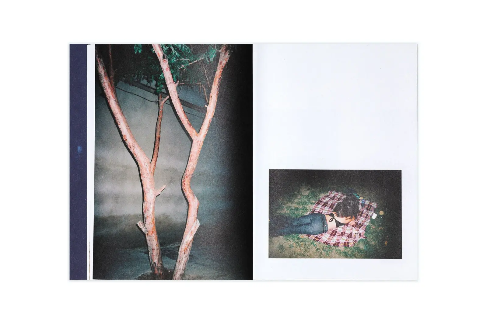 three circles around the sea image 5