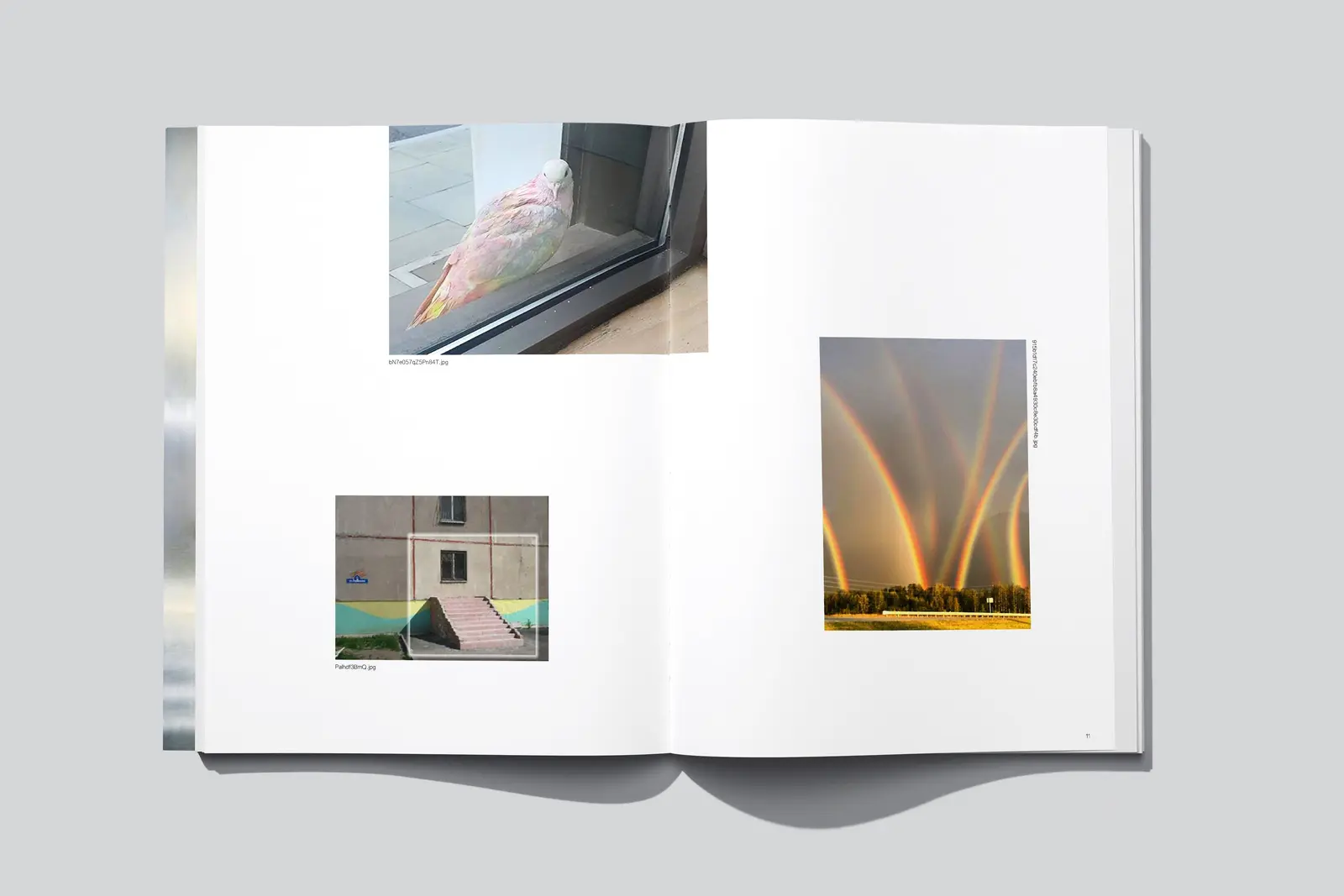 American Glitch image 2