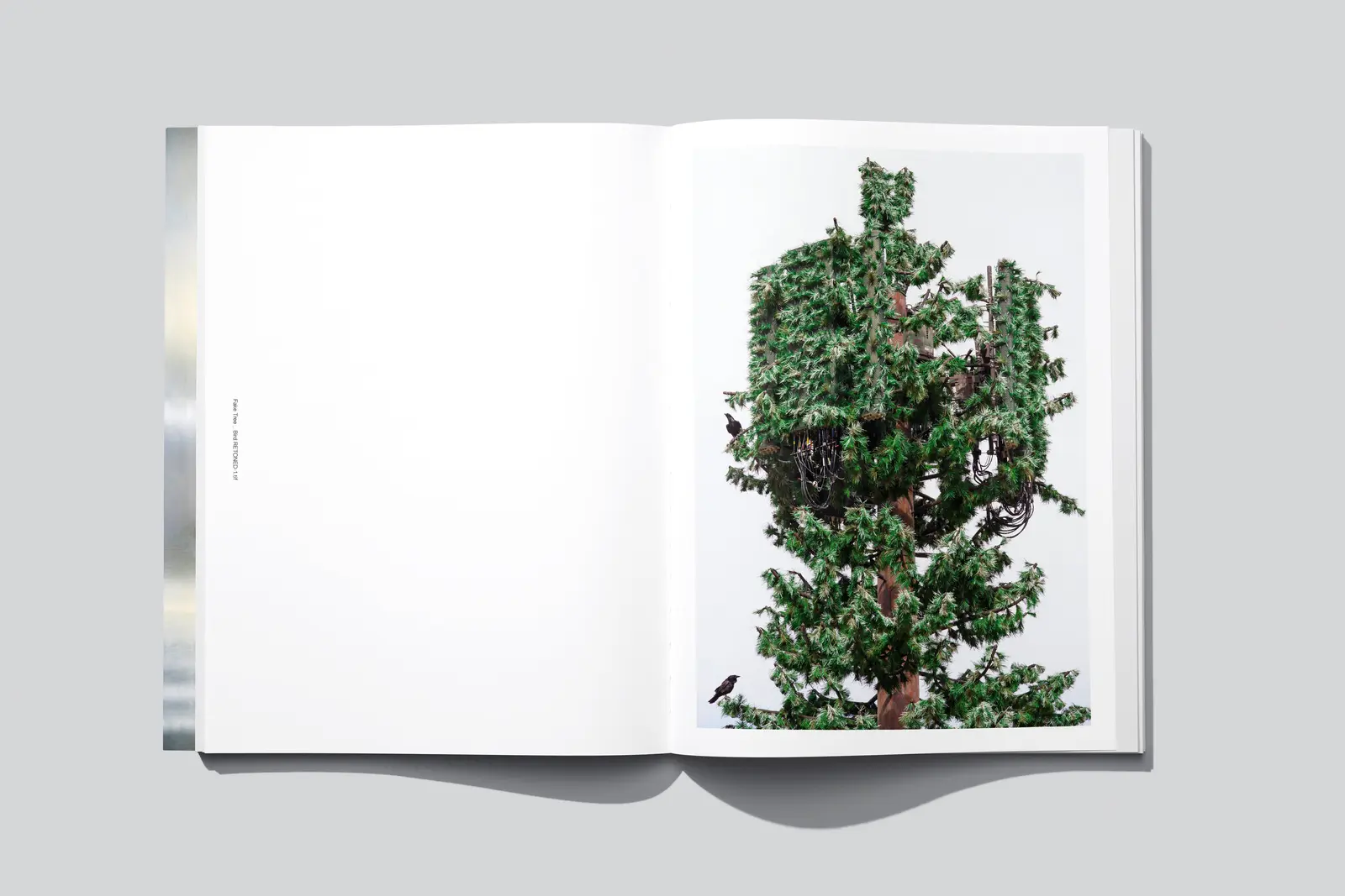 American Glitch image 8