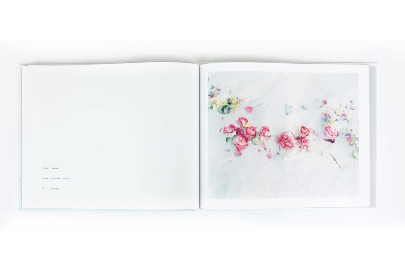 Allanngorpoq image 3