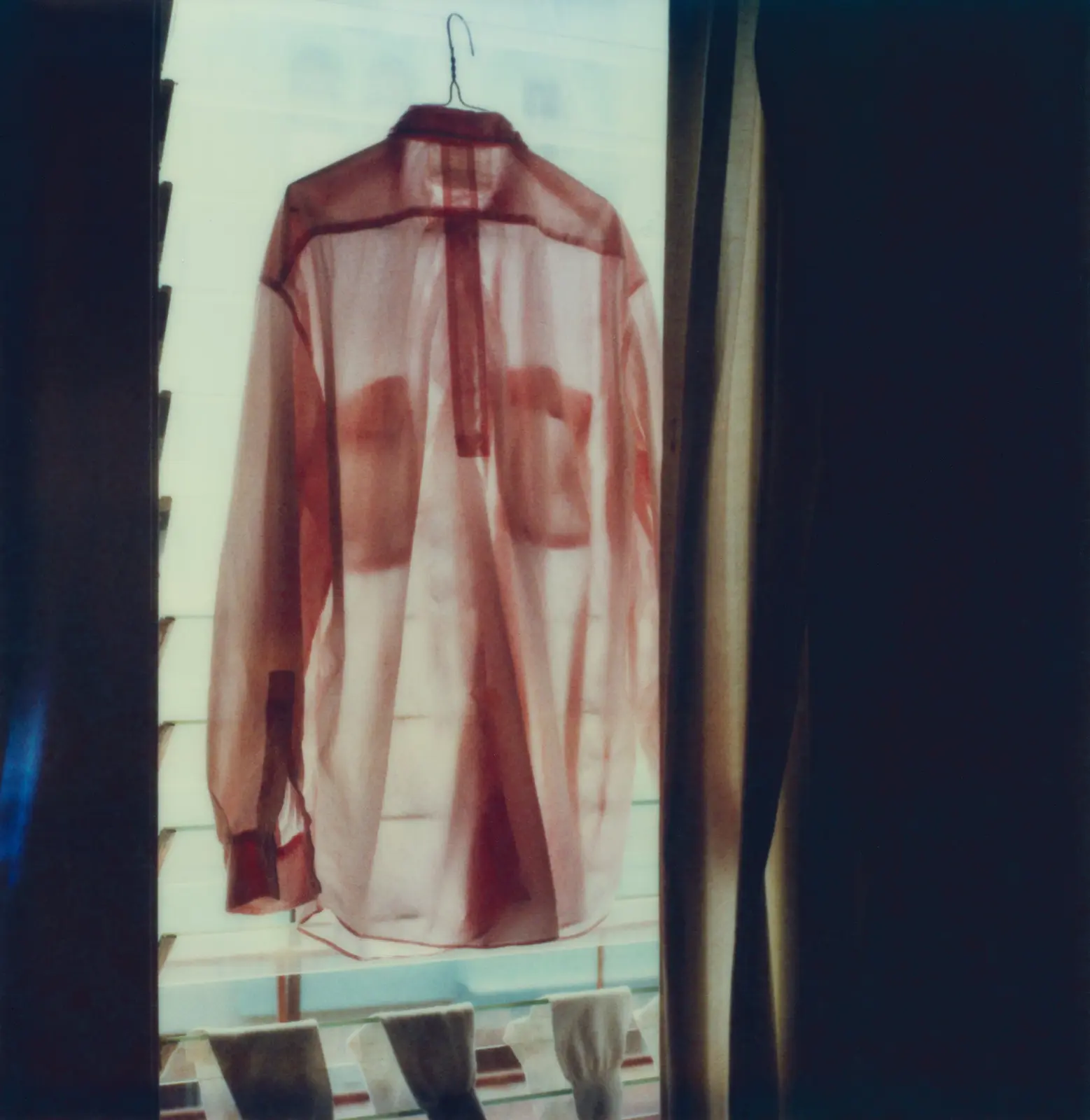 L.A. Polaroids image 2